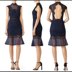 Saylor lace dress